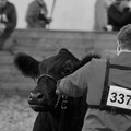 0247E03F-F3F1-4908-AD16-55031C925AC1_1_105_c.jpeg