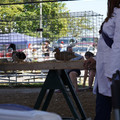 DSC00006.JPG