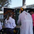 DSC00016.JPG