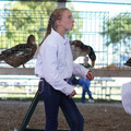 DSC00085.JPG