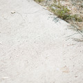 DSC00088.JPG