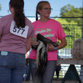 DSC00110.JPG