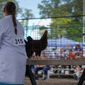 DSC00130.JPG