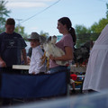 DSC00132.JPG