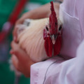 DSC00167.JPG