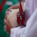DSC00168.JPG