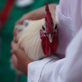 DSC00169.JPG