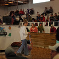 DSC00248.JPG