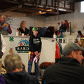 DSC00344.JPG