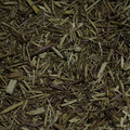 DSC00357.JPG