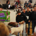DSC00425.JPG