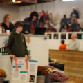 DSC00437.JPG