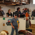 DSC00486.JPG
