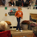 DSC00509.JPG