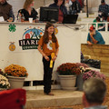DSC00533.JPG
