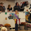 DSC00560.JPG