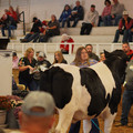 DSC00732.JPG