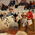 DSC00735.JPG