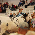 DSC00737.JPG