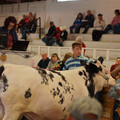 DSC00738.JPG
