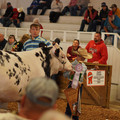 DSC00739.JPG