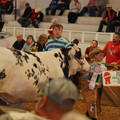 DSC00740.JPG