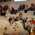DSC00741.JPG