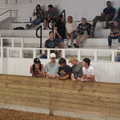 IMG_5372.JPG