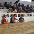 IMG_5373.JPG