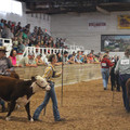 IMG_5378.JPG
