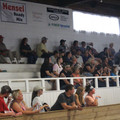IMG_5380.JPG