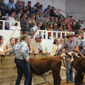 IMG_5385.JPG