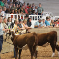IMG_5387.JPG