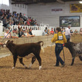 IMG_5389.JPG