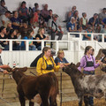 IMG_5390.JPG
