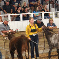 IMG_5391.JPG