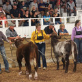 IMG_5392.JPG