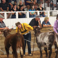 IMG_5393.JPG