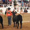 IMG_5395.JPG