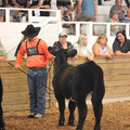 IMG_5396.JPG