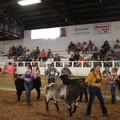 IMG_5399.JPG