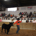 IMG_5401.JPG