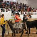 IMG_5422.JPG