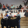 IMG_5430.JPG