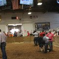 IMG_5449.JPG