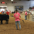 IMG_5450.JPG