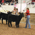 IMG_5478.JPG