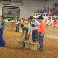 IMG_5538.JPG