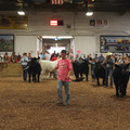 IMG_5557.JPG