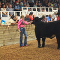 IMG_5572.JPG